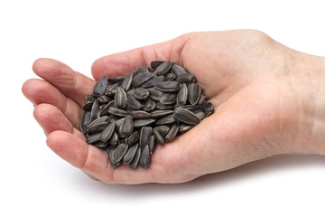 Sunflower seeds in the palm