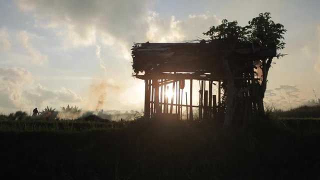 Sun silhouette of farmer&rsquo;s shack in stubble burning rice fields in Ubud Bali