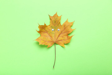 Autumn leaf with googly eyes on green background