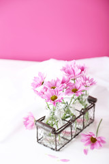 Pink chrysanthemum flowers on white wooden background