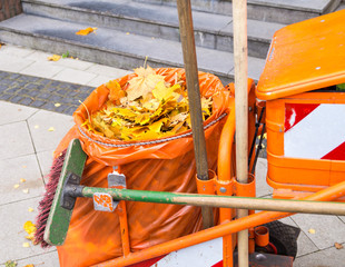 Müllmann der Stadtbetriebe kehrt Blätter auf
