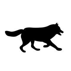 adult wolf vector illustration black silhouette