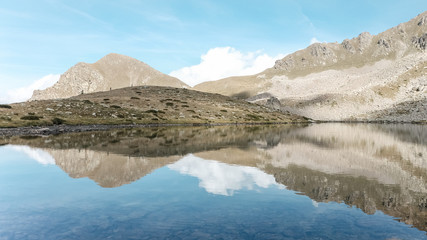 Fototapeta premium reflet de la nature