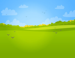 Vector landscape