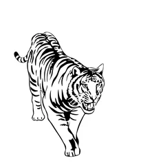Crédence de cuisine en verre imprimé Tigre illustration de tigre noir et blanc
