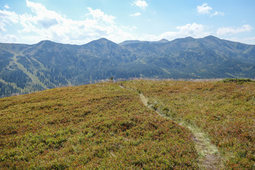 Fototapeta premium Planneralm im Sommer