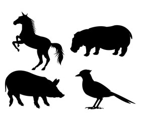 horse hippo pig and bird icon. Animal life nature and fauna theme. Isolated black and white design. Vector illustration