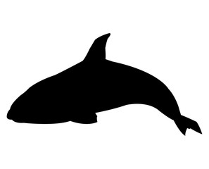 Whale icon. Animal life nature and fauna theme. Isolated black and white design. Vector illustration
