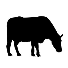 Cow icon. Animal life nature and fauna theme. Isolated black and white design. Vector illustration
