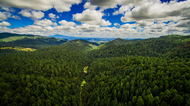 Paisaje a&eacute;reo del bosque de Nanacamilpa en Tlaxcala