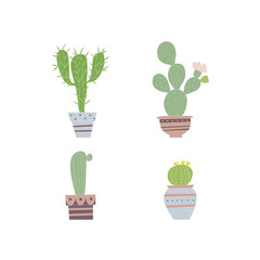 Cactus set