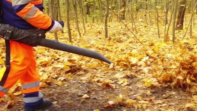 worker blows the autumn leaves