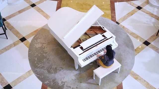 Musician with Piano
