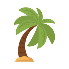 tree palm beach isolated icon vector illustration design