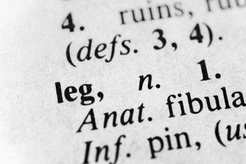 Leg