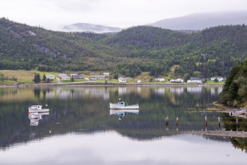 Fototapeta premium Fishing hamlet in Newfoundland
