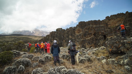 Kilimanjaro mountain. trekking. africa. uhuru. kilimanjaro peack