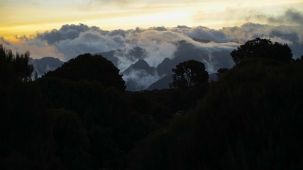 Obraz premium trekking on kilimanjaro Mountain, africa, kilimanjaro, summit