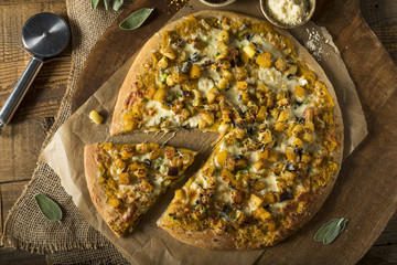 Homemade Autumn Pumpin PIzza