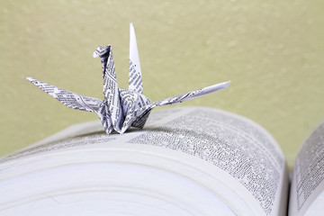 Bird folded white paper In book