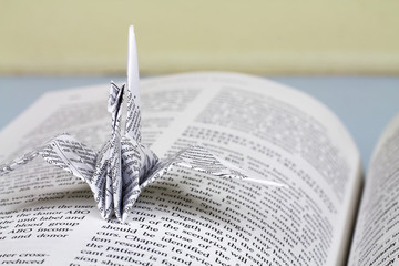 Bird folded white paper In book