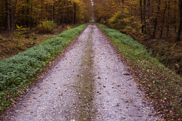 Vukomericke gorice - autumn landscape