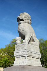Obraz premium stone lion