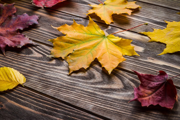 Obraz premium Autumn leaves over wooden background,