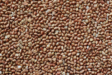 Raw buckwheat background