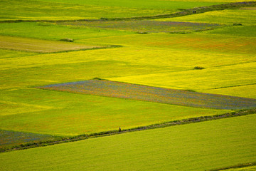 Obraz premium Castelluccio di Norcia