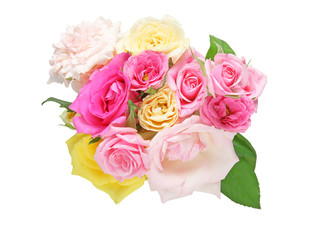 薔薇