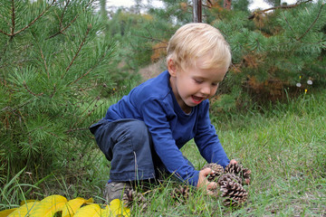 White Toddler boy playing in a pine forest with pine cones. Coni