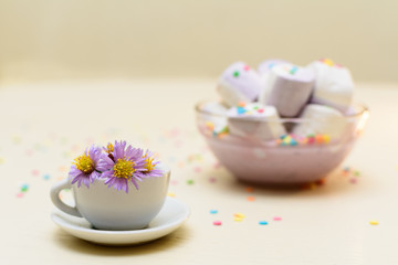 Fototapeta na wymiar Натюрморт: миниатюрная чашка с цветами и десерт с зефиром