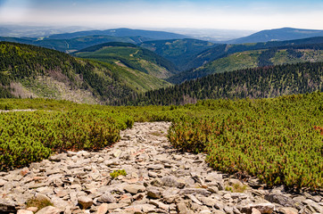 View of the mountain ridges of talus fields