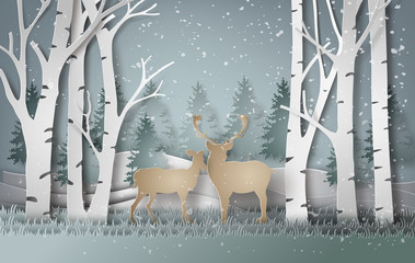 Fototapeta premium Deer in forest with snow.