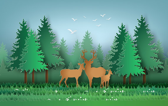 Deer in the forest