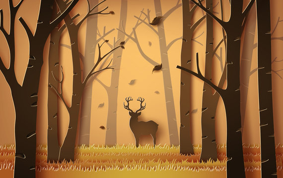 deer in the forest.