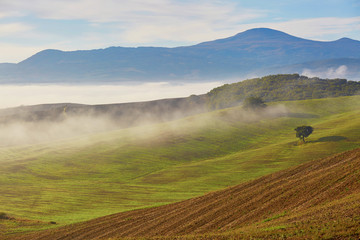Fototapeta na wymiar Scenic view of Tuscan fields and hills with fog