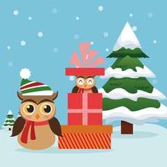 Owl cartoon and gift icon. Christmas season card decoration and celebration theme. Colorful design. Vector illustration
