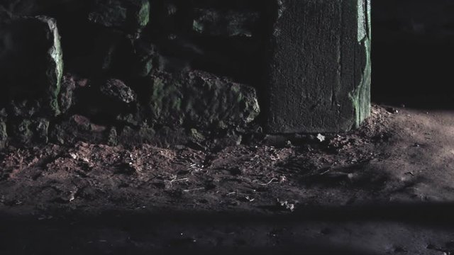 Scary shadow of ghost or something super natural passing by in dark dungeon area.