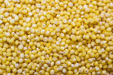 Millet groats as food background