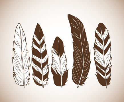 feathers icon. boho style bohemic ornament indian and decoration theme. Pastel background. Vector illustration