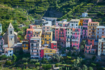 Fototapeta na wymiar Famous town of Manarola in Cinque Terre / Colorful houses of Liguria