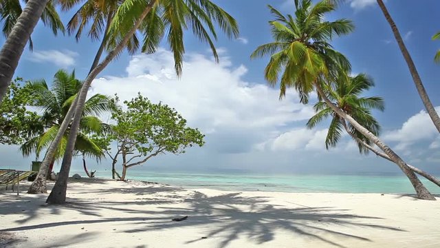 Beautiful tropical beach with tall coconut palm trees in the Maldives islands