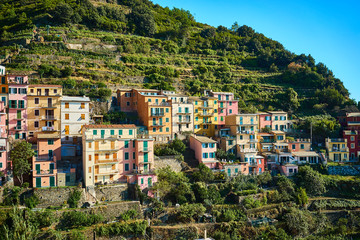 Fototapeta na wymiar Famous town of Manarola in Cinque Terre / Colorful houses of Liguria