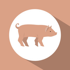 Pork icon. Animal life nature and fauna theme. Colorful design. Vector illustration