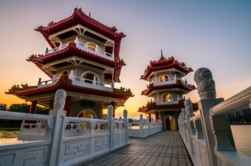 Twin Pagoda of Chinese Garden