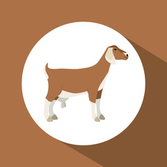 Goat icon. Animal life nature and fauna theme. Colorful design. Vector illustration