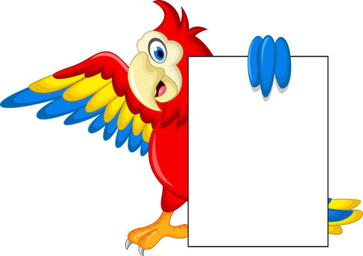 Macaw bird with blank cartoon sign for you design