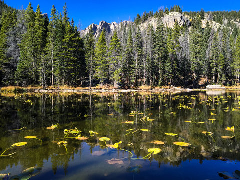 Evergreen and Lake Reflection Landscape ~ Rocky Mountain National Park